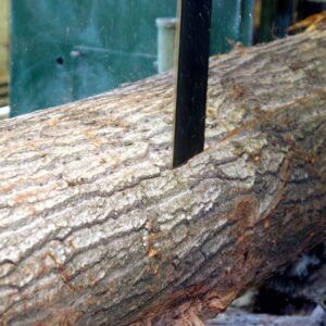 Wood MIll