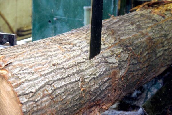 Wood MIll