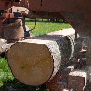 sawmill blades