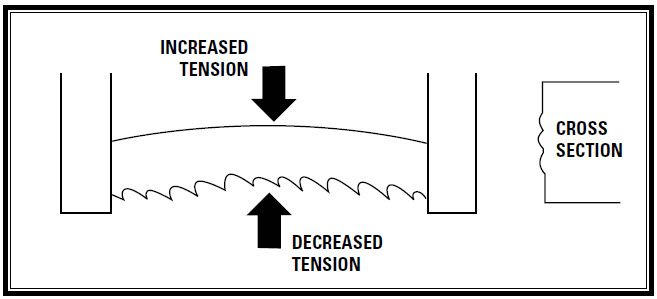 Band saw blade support
