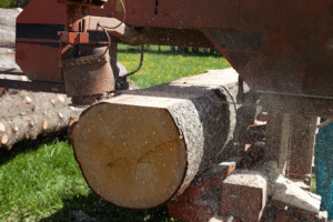 Lumber Mill | Band Saw Blade
