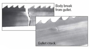 Bandsaw blade support